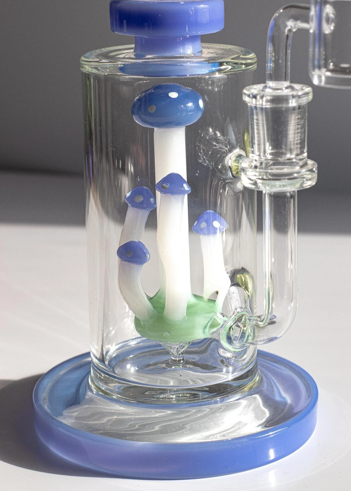 MUSHROOM TERRANIUM RIG(Mushroom Terranium Rig) 2 MUSHROOM TERRANIUM RIG(Mushroom Terranium Rig) - Image 2