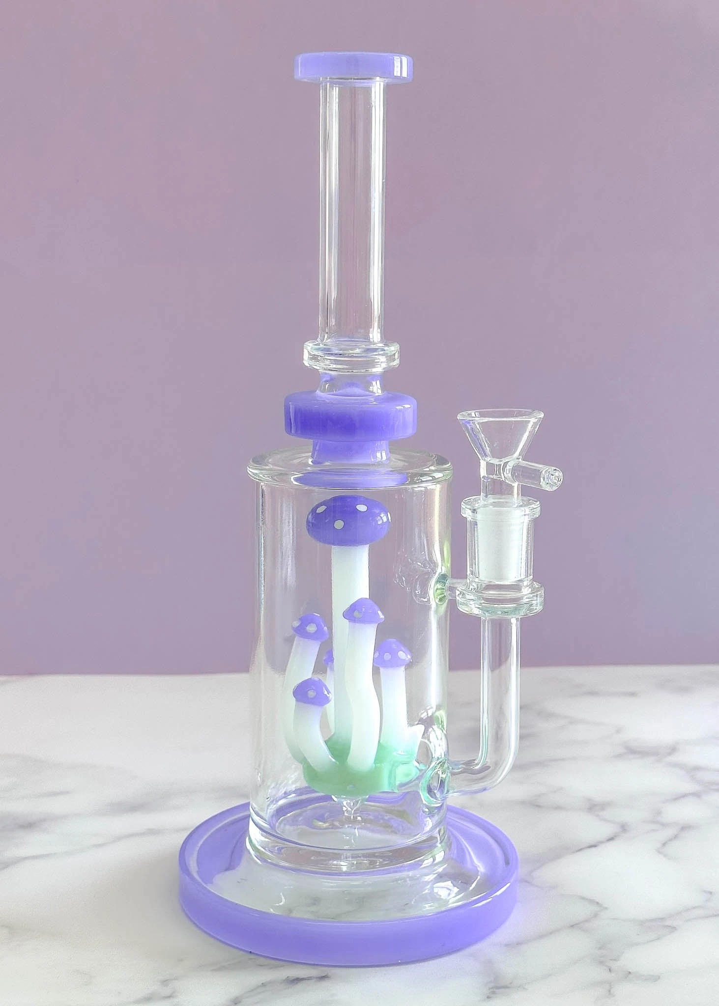 MUSHROOM TERRANIUM BONG(Mushroom Terranium Bong 1) 1 MUSHROOM TERRANIUM BONG(Mushroom Terranium Bong 1)