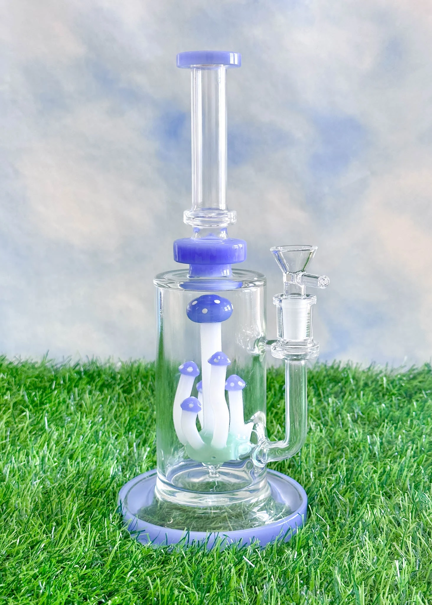 MUSHROOM TERRANIUM BONG(Mushroom Terranium Bong 1) 3 MUSHROOM TERRANIUM BONG(Mushroom Terranium Bong 1) - Image 3