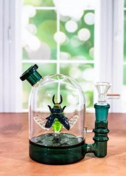 BEETLE CLOCHE BONG(Beetle Cloche Bong) -Glass Smoke World IMG 1760