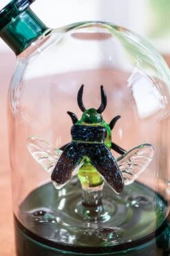 BEETLE CLOCHE BONG(Beetle Cloche Bong) -Glass Smoke World IMG 1778 3f7b8918 aa8c 4fa7 99df e3fc8d8062d5
