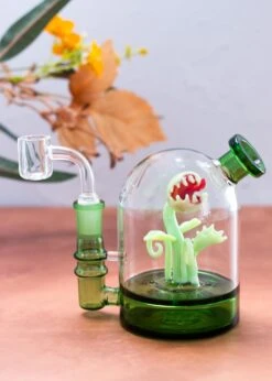 VENUS FLY TRAP CLOCHE RIG(Venus Fly Trap Cloche Rig)