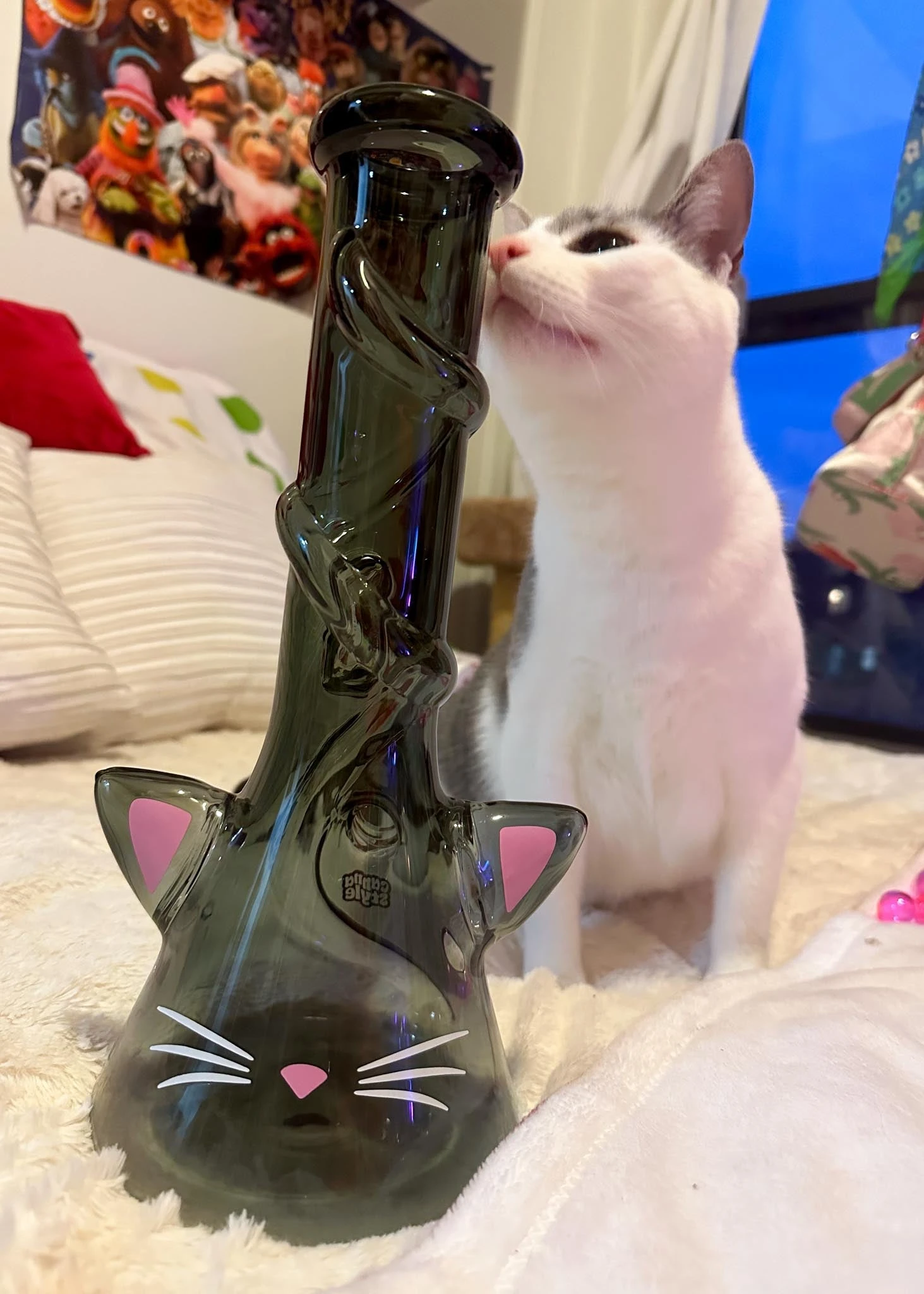 CAT BONG(Cat Ears Bong) 5 CAT BONG(Cat Ears Bong) - Image 5