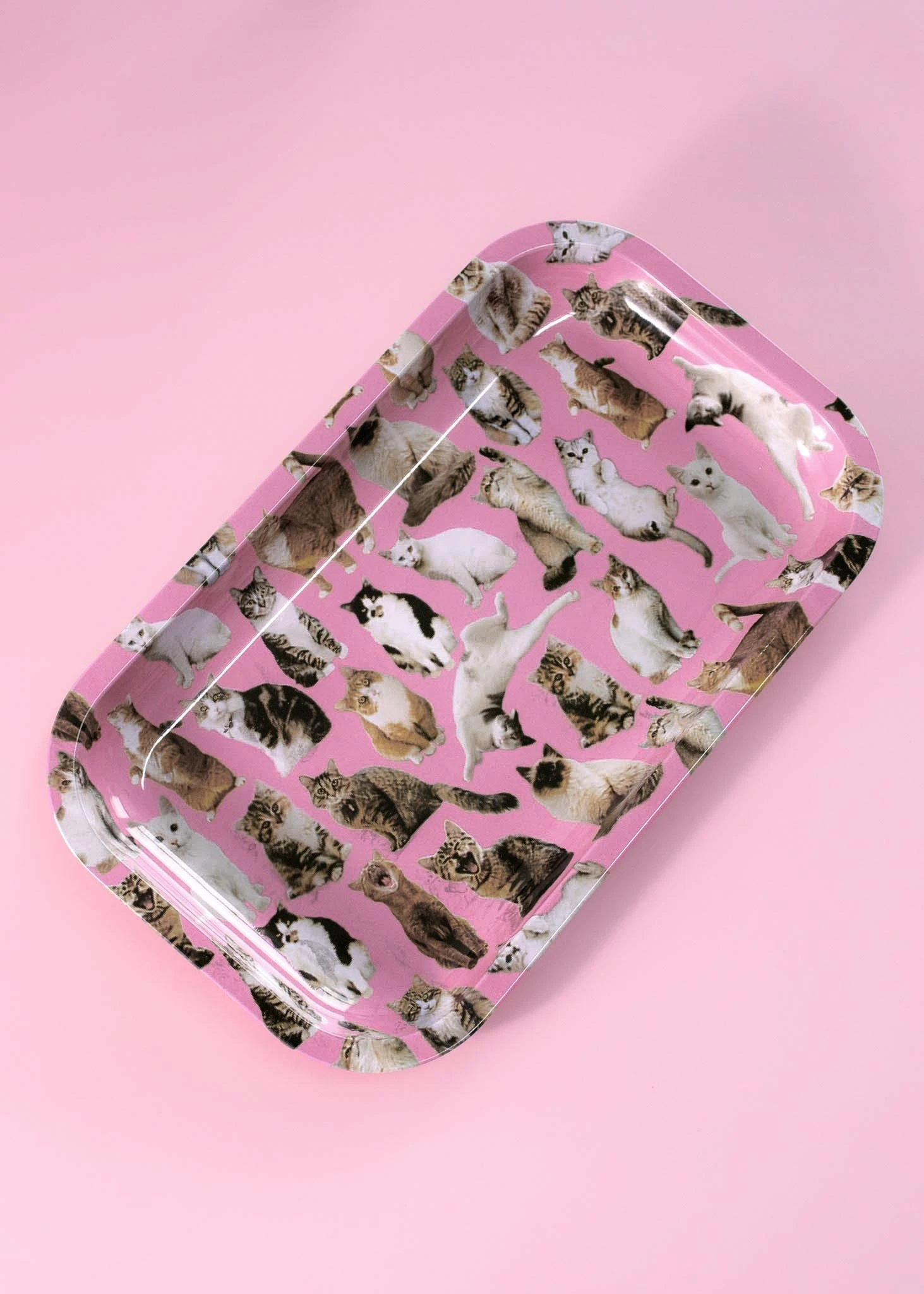 CAT ROLLING TRAY(Cat Rolling Tray) 1 CAT ROLLING TRAY(Cat Rolling Tray)