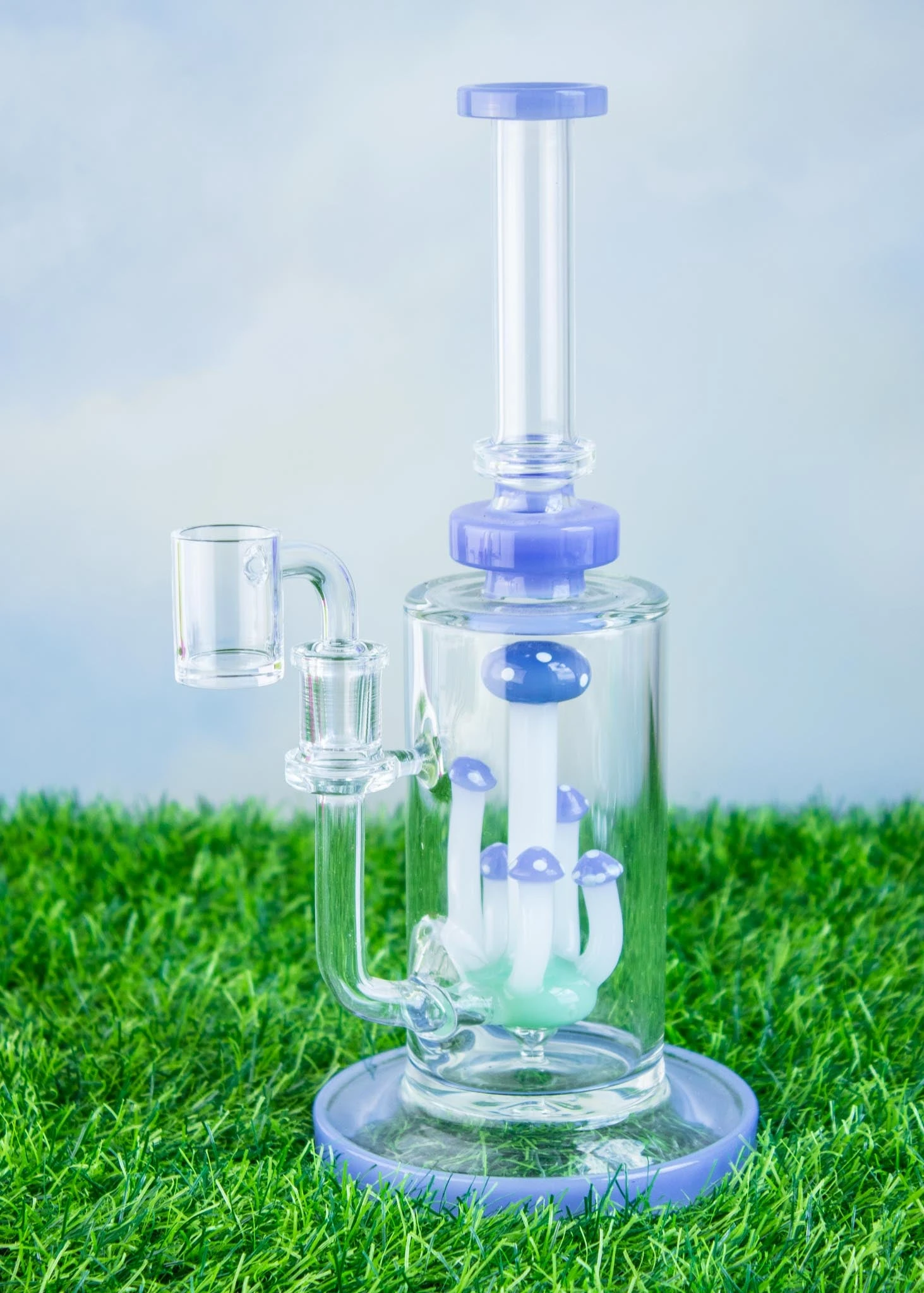 MUSHROOM TERRANIUM RIG(Mushroom Terranium Rig) 1 MUSHROOM TERRANIUM RIG(Mushroom Terranium Rig)
