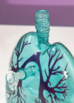 ANATOMICAL LUNG BONG(Anatomical Lung Bong) 10 ANATOMICAL LUNG BONG(Anatomical Lung Bong) -Glass Smoke World IMG 9868