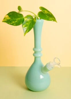 JADE GENIE BOTTLE BONG(Jade Genie Bong)