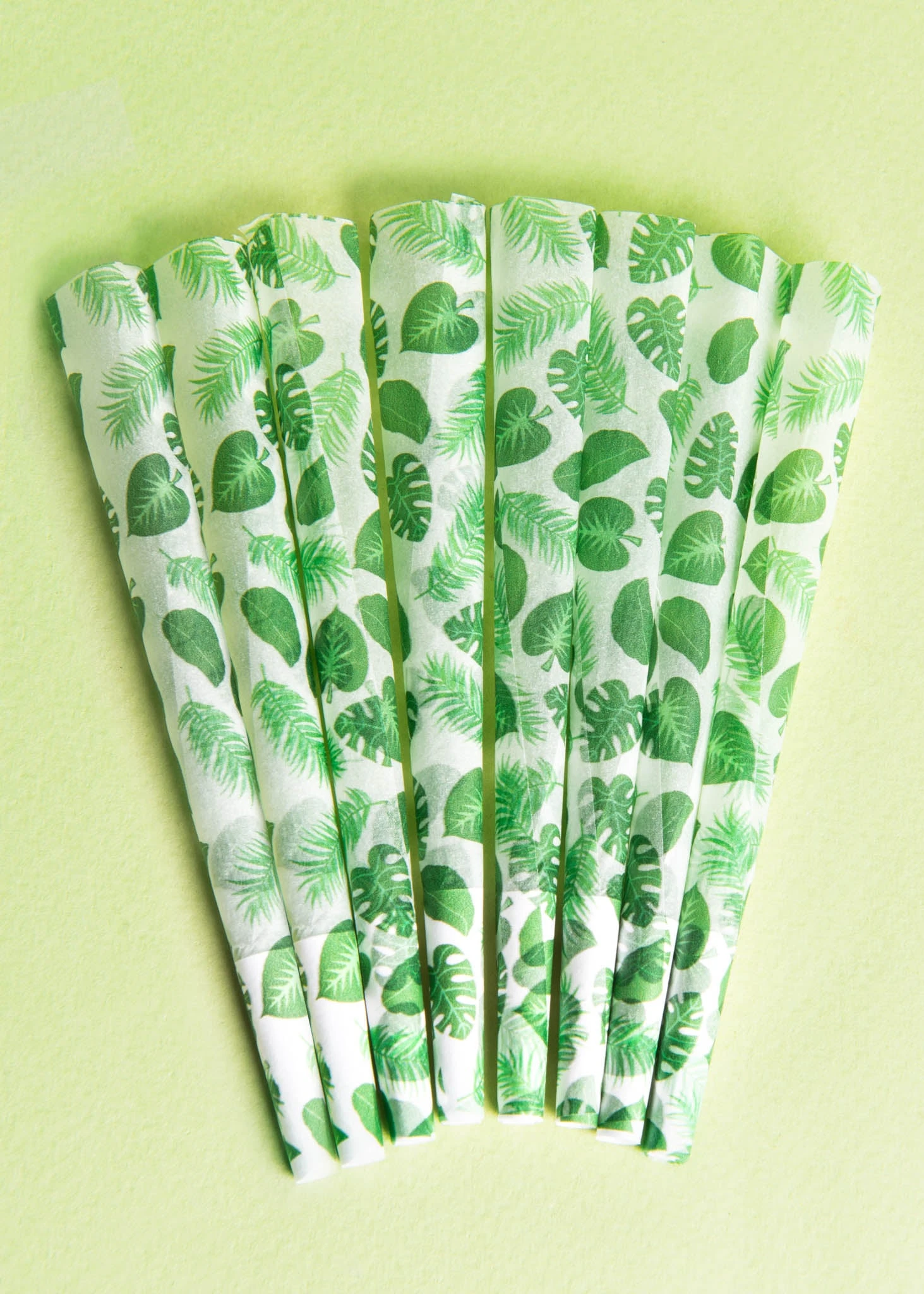 PLANT MOM CONES (8-pack)(Plant Mom Cones) 1 PLANT MOM CONES (8-pack)(Plant Mom Cones)