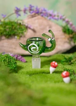 SNAIL BOWL(Snail Bowl)