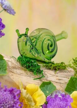 SNAIL PIPE(Snail Pipe 1)