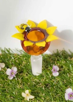 SUNFLOWER BOWL(Sunflower Bowl Slide)